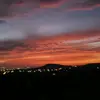 Profile Picture of canavis (@oscarledesma4125) on Tiktok