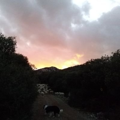 Profile Picture of Paul Reder (@PaulReder6) on Twitter