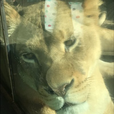 Profile Picture of Brian Gates (@bgates0221) on Twitter
