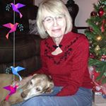 Profile Picture of Donna Cleland Torchia (@torchiadonna) on Instagram