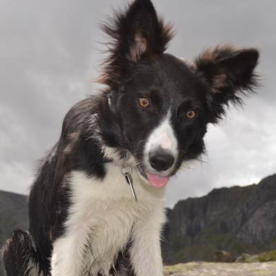 Profile Picture of Andrew Jones (@cappr1) on Twitter