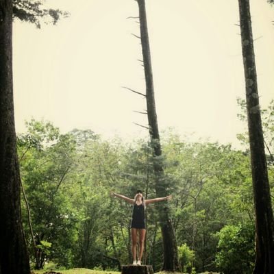 Profile Picture of Katherine Alvarez (@kamalhe93) on Twitter