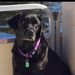 Profile Picture of Janice Bloomfield (@jan1015) on Pinterest