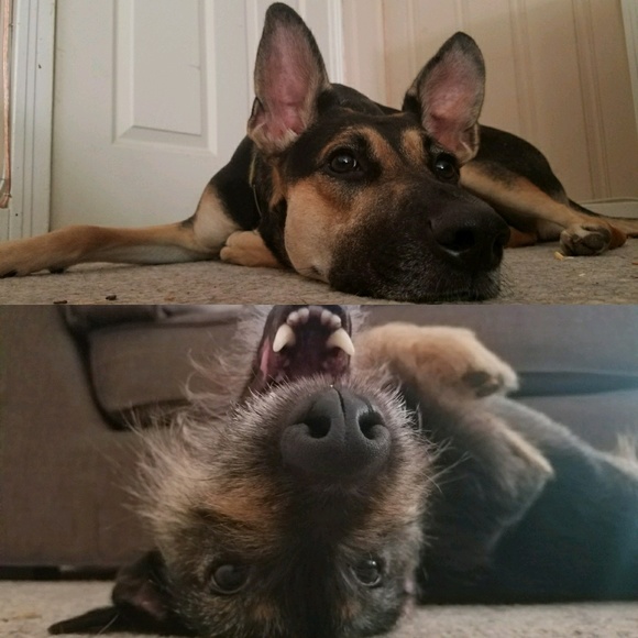 Profile Picture of David Sandlin (@dsandman87) on Poshmark