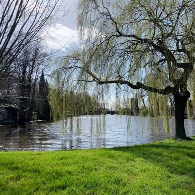 Profile Picture of Max Huggins (@MaxHuggins93) on Twitter