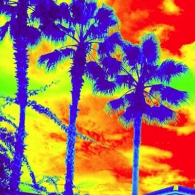 Profile Picture of Erin (@PalmTrees1981) on Twitter