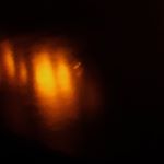 Profile Picture of James (@jameskeniston_) on Instagram