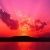 Profile Picture of Chris Baumbach (@chrisbaumbach) on Pinterest