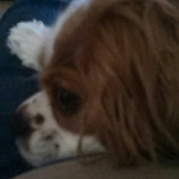 Profile Picture of Karen Hainley (@kdwh) on Poshmark