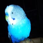 Profile Picture of Kevin Manosalva (@kevin25031997) on Instagram