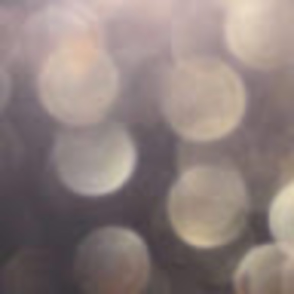 Profile Picture of Michela Mustone (@mmustone13) on Poshmark