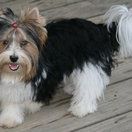 Profile Picture of Renee Esterline (@reneeesterline) on Pinterest