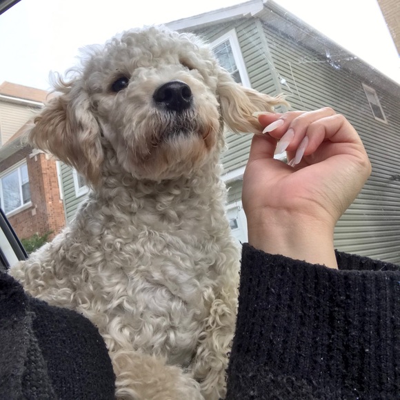 Profile Picture of Jeanette Pamias (@jeanettepamias) on Poshmark