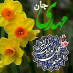 Profile Picture of shahin_emad (@shahin_emaad) on Instagram