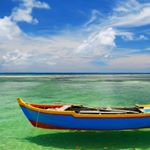 Profile Picture of Alex Zhuang (@alexching1909) on Instagram