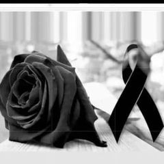 Profile Picture of octavianoramirez95 (@octavianoramirez95) on Tiktok