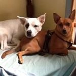 Profile Picture of Trish Lee Strader (@trishstrader) on Instagram