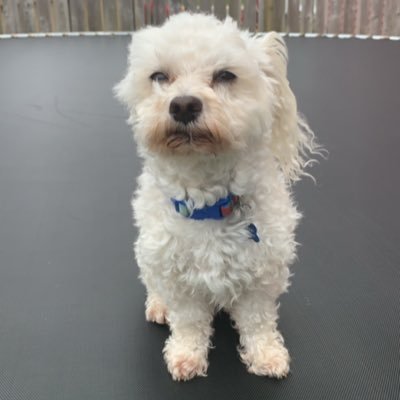 Profile Picture of Alexa Fleming (@alexafleming_) on Twitter