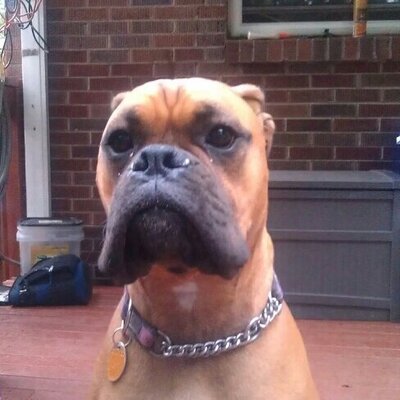 Profile Picture of Randy Logan (@randylogan1976) on Twitter