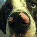 Profile Picture of Kellie Stapleton (@kelliecolleen58) on Pinterest