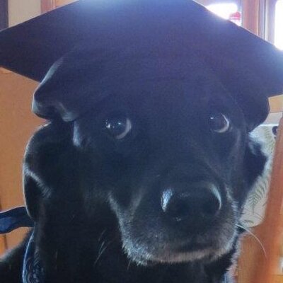 Profile Picture of Patrick Brewer (@brewer_pi) on Twitter