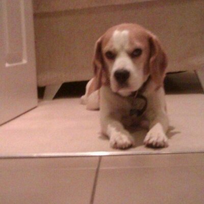 Profile Picture of Matt Tunstall (@mattytun77) on Twitter