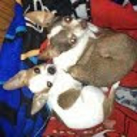 Profile Picture of Jennifer Alberts (@jenniferalbe303) on Poshmark