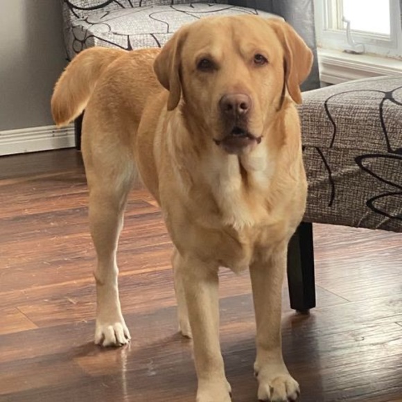 Profile Picture of John Quiring (@john_quiring) on Poshmark