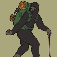 Profile Picture of Robert Head (@robert.head8) on Tiktok