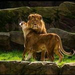 Profile Picture of Michael Bhorhman GoodHope (@michael_bhorhman_goodhope) on Instagram