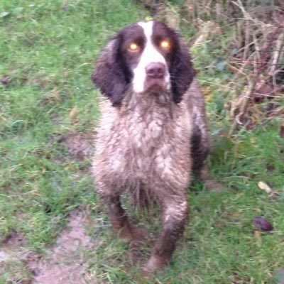 Profile Picture of John Edmonds (@johned45) on Twitter