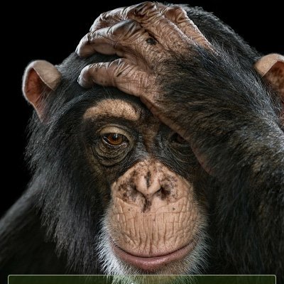 Profile Picture of Jeff Bogle (@ImDoneItsOver) on Twitter