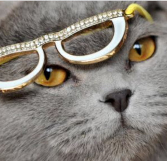 Profile Picture of Bryce Webb (@brycew414) on Poshmark