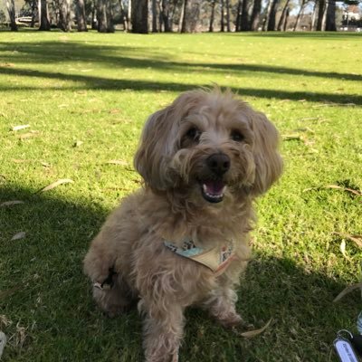 Profile Picture of Adam Mather (@@adammather5) on Twitter
