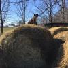 Profile Picture of Barrett Roberts (@@barrettroberts) on Tiktok