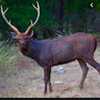 Profile Picture of Chase Mclean (@chase-mclean-7) on Quora