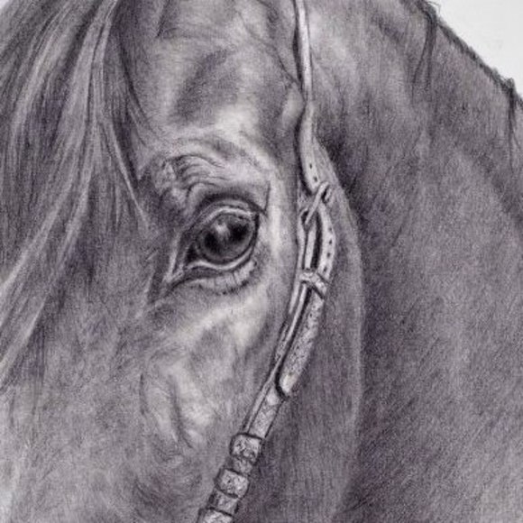 Profile Picture of Roberta Rossi (@alphawolf432000) on Poshmark