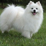 Profile Picture of Drew Ball (@drewball6035) on Youtube