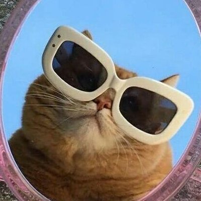 Profile Picture of Tom Wójtowicz (@TomekWjtowicz4) on Twitter