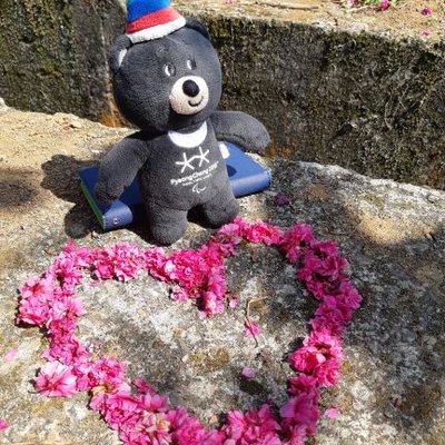 Profile Picture of Kayh (@KayHsu8) on Twitter