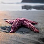 Profile Picture of 💎Hannah Ludwig💎 (@hannahgludwig) on Instagram