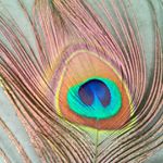 Profile Picture of uttam patel (@uttampatel880) on Instagram
