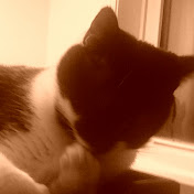 Profile Picture of Pamela Walker (@pamelawalker979) on Youtube