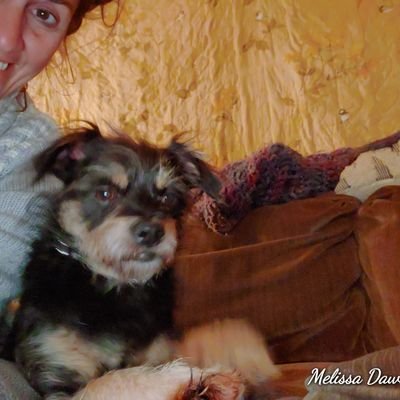 Profile Picture of Melissa Dawn Farber (@DawnCheever) on Twitter