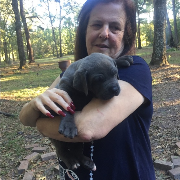 Profile Picture of Beverly Collier (@beverlybbc) on Poshmark