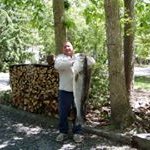 Profile Picture of Michael Melchionne (@michaelmelchionne) on Instagram