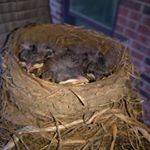 Profile Picture of william powers (@powerswd) on Instagram