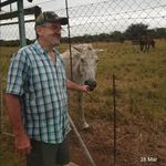 Profile Picture of Bryan Swales (@bryanswales) on Instagram