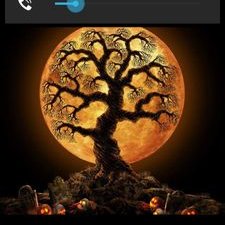 Profile Picture of Amanda Moncus (@moncus_amanda) on Twitter