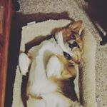 Profile Picture of Jonathan Best (@sword4blade) on Instagram